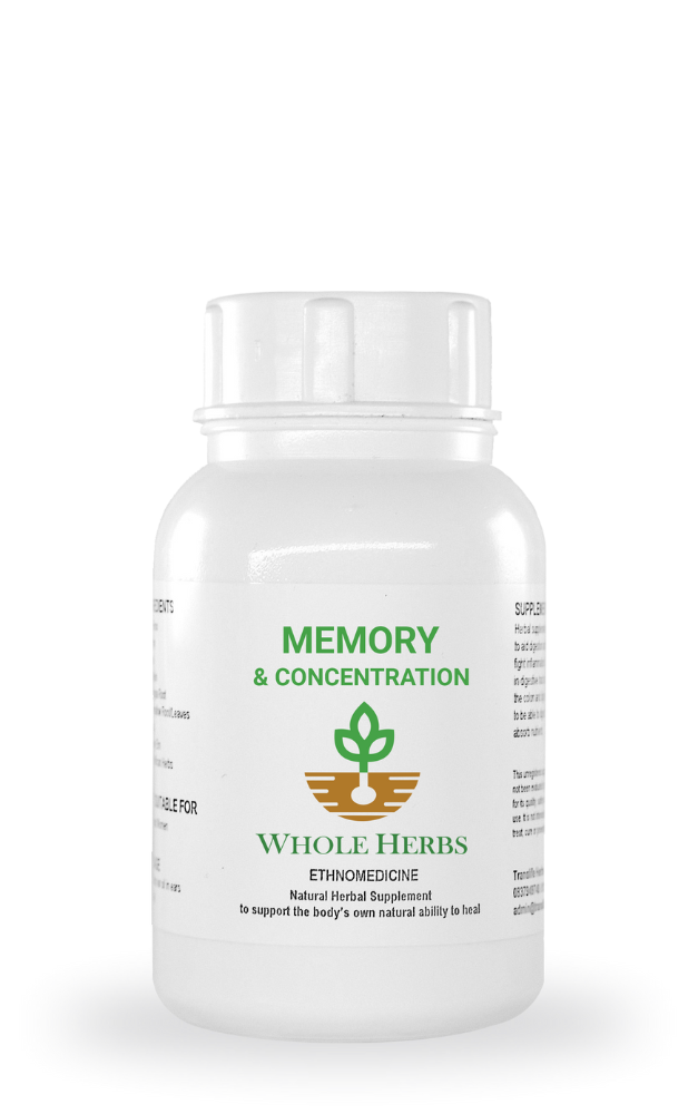 Memory & Concentration 120's